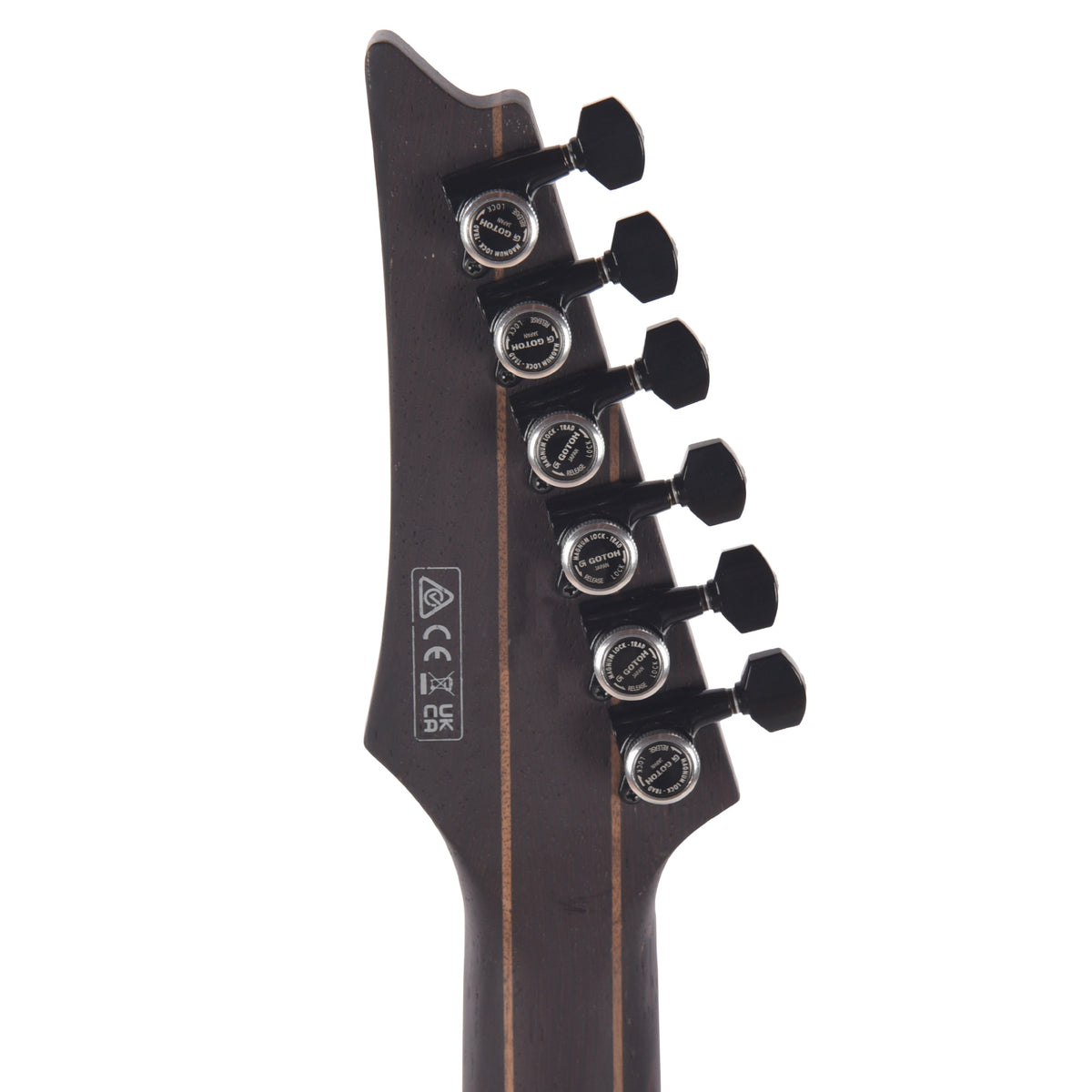 Ibanez RGD621AHMNF RGD Electric Guitar Midnight Shade Flat Electric Guitars / Solid Body