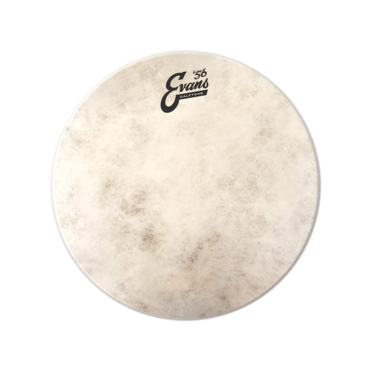 Evans 12" Calftone Drumhead Drums and Percussion / Parts and Accessories / Heads