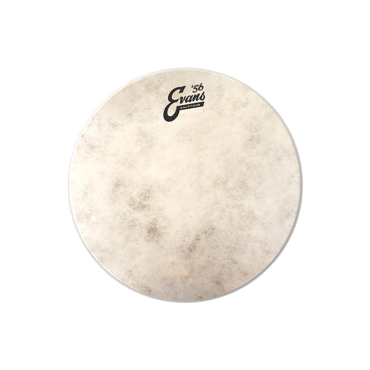 Evans 8" Calftone Drumhead Drums and Percussion / Parts and Accessories / Heads
