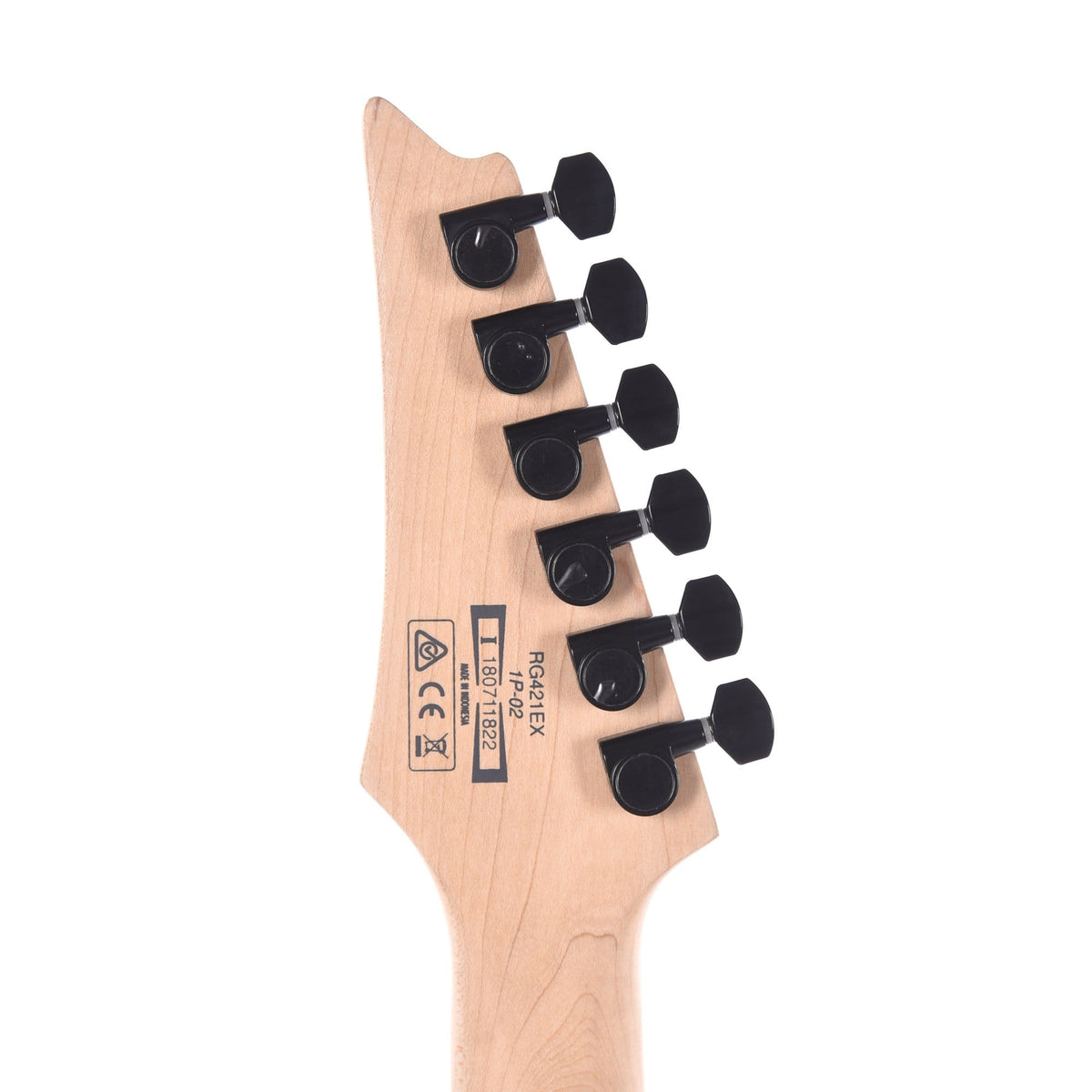 Ibanez RG421EX Black Flat Electric Guitars / Solid Body