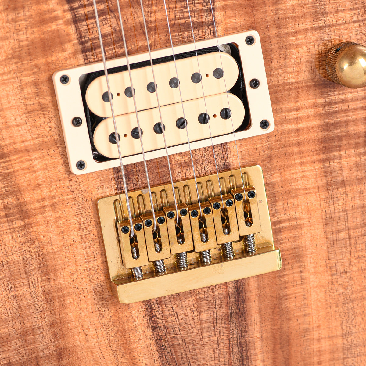 Charvel Custom Shop Special Edition Style 2 Tasmanian Blackwood/Roasted Ash w/Oil Finished Birdseye Maple Neck Electric Guitars / Solid Body