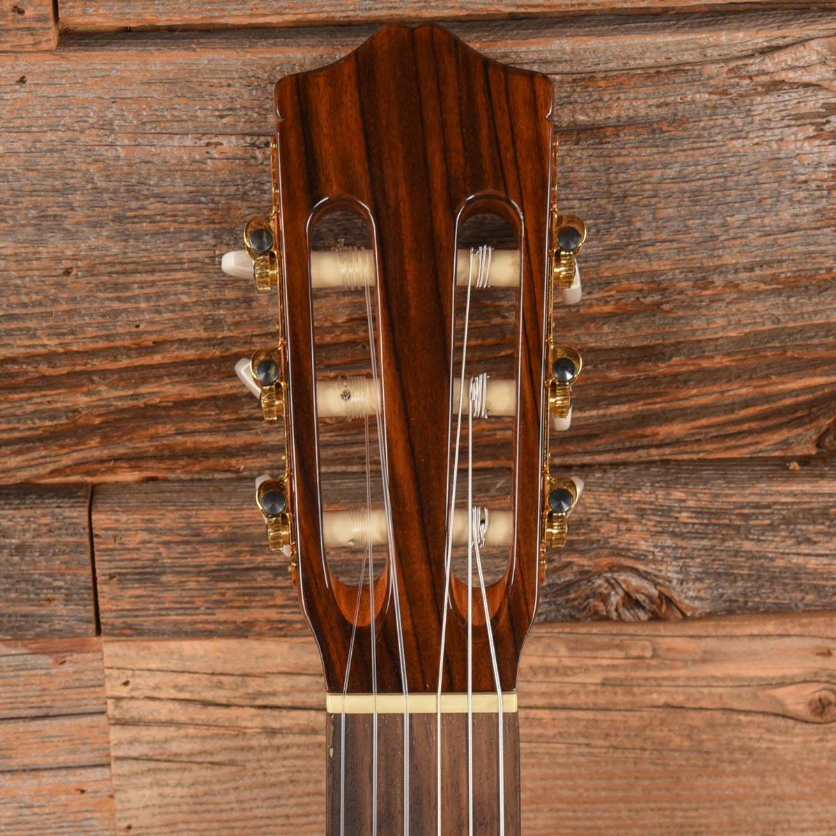 Cordoba C5 Natural  LEFTY Acoustic Guitars / Classical