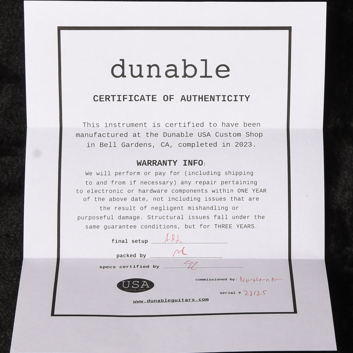 Dunable R2  2023 Electric Guitars / Solid Body