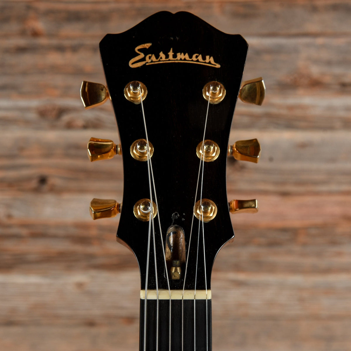 Eastman AR503CE Archtop Single Cutaway Classic Electric Guitars / Hollow Body