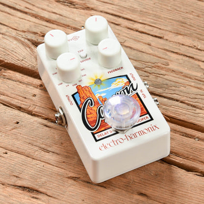 Electro-Harmonix Canyon Effects and Pedals / Delay