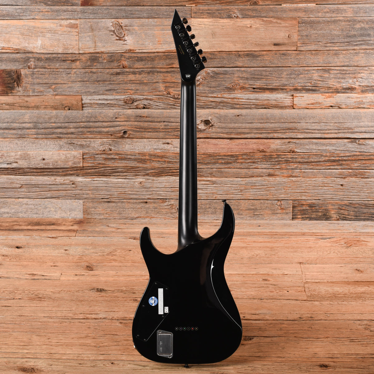 ESP E-II Horizon NT-II Blue Purple Fade Electric Guitars