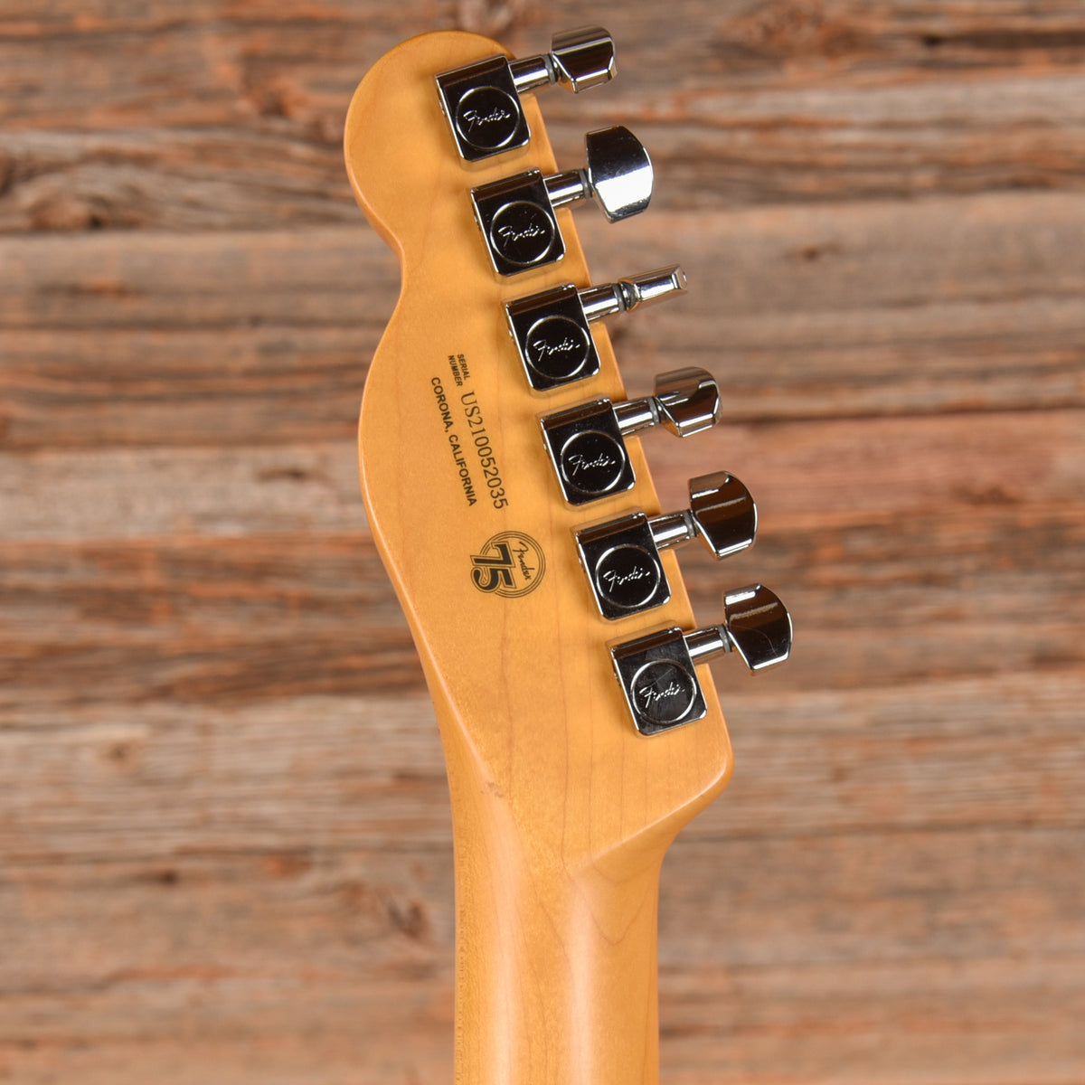 Fender American Professional II Telecaster Roasted Pine Natural 2021 Electric Guitars / Solid Body