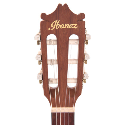 Ibanez GA1OAM Acoustic Guitar Open Pore Amber Acoustic Guitars / Classical