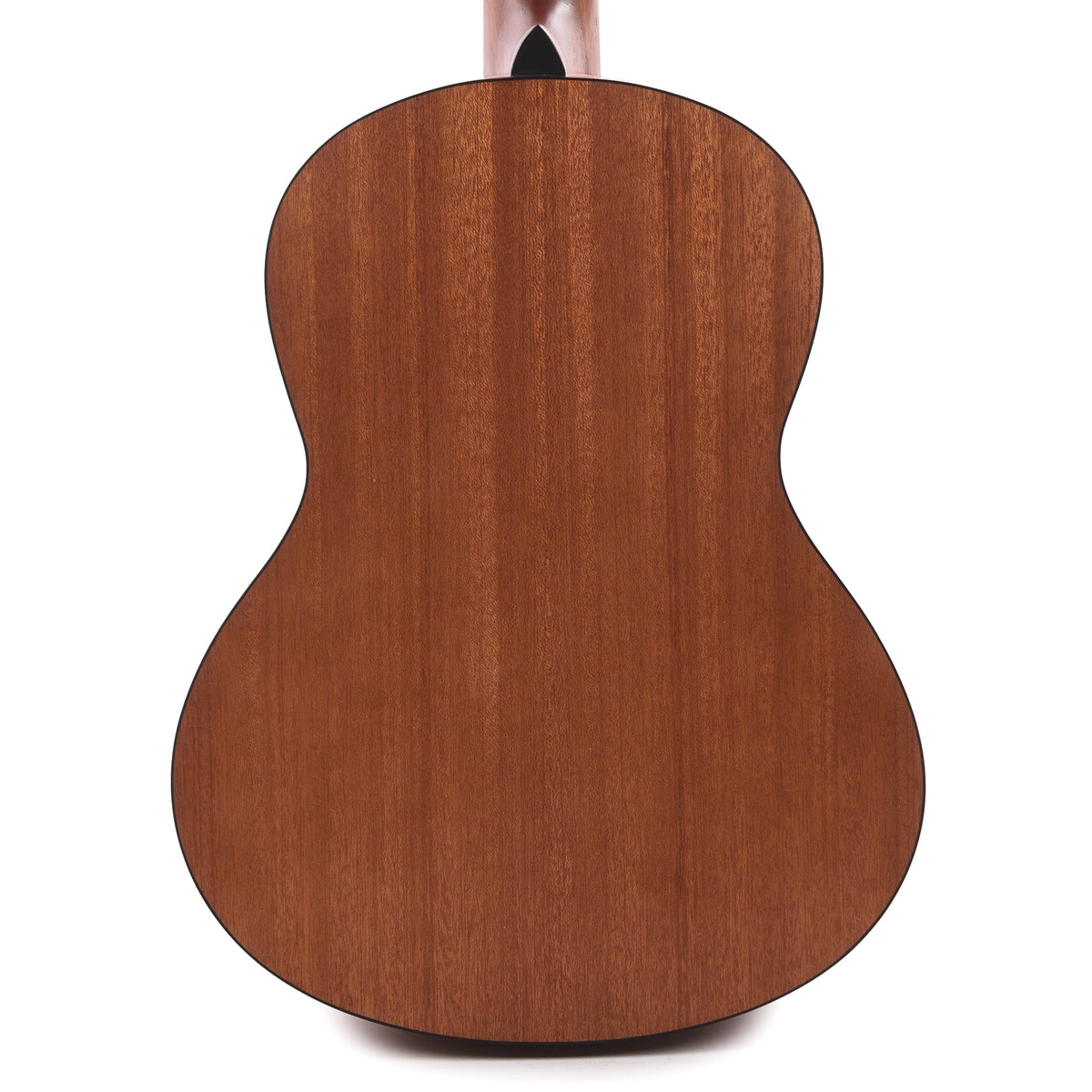 Ibanez GA2OAM Acoustic Guitar Open Pore Amber Acoustic Guitars / Classical