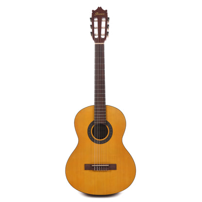 Ibanez GA2OAM Acoustic Guitar Open Pore Amber Acoustic Guitars / Classical