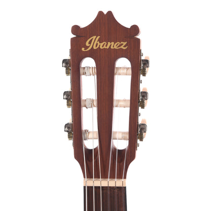 Ibanez GA2OAM Acoustic Guitar Open Pore Amber Acoustic Guitars / Classical