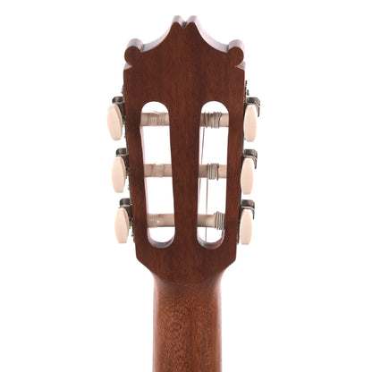 Ibanez GA2OAM Acoustic Guitar Open Pore Amber Acoustic Guitars / Classical