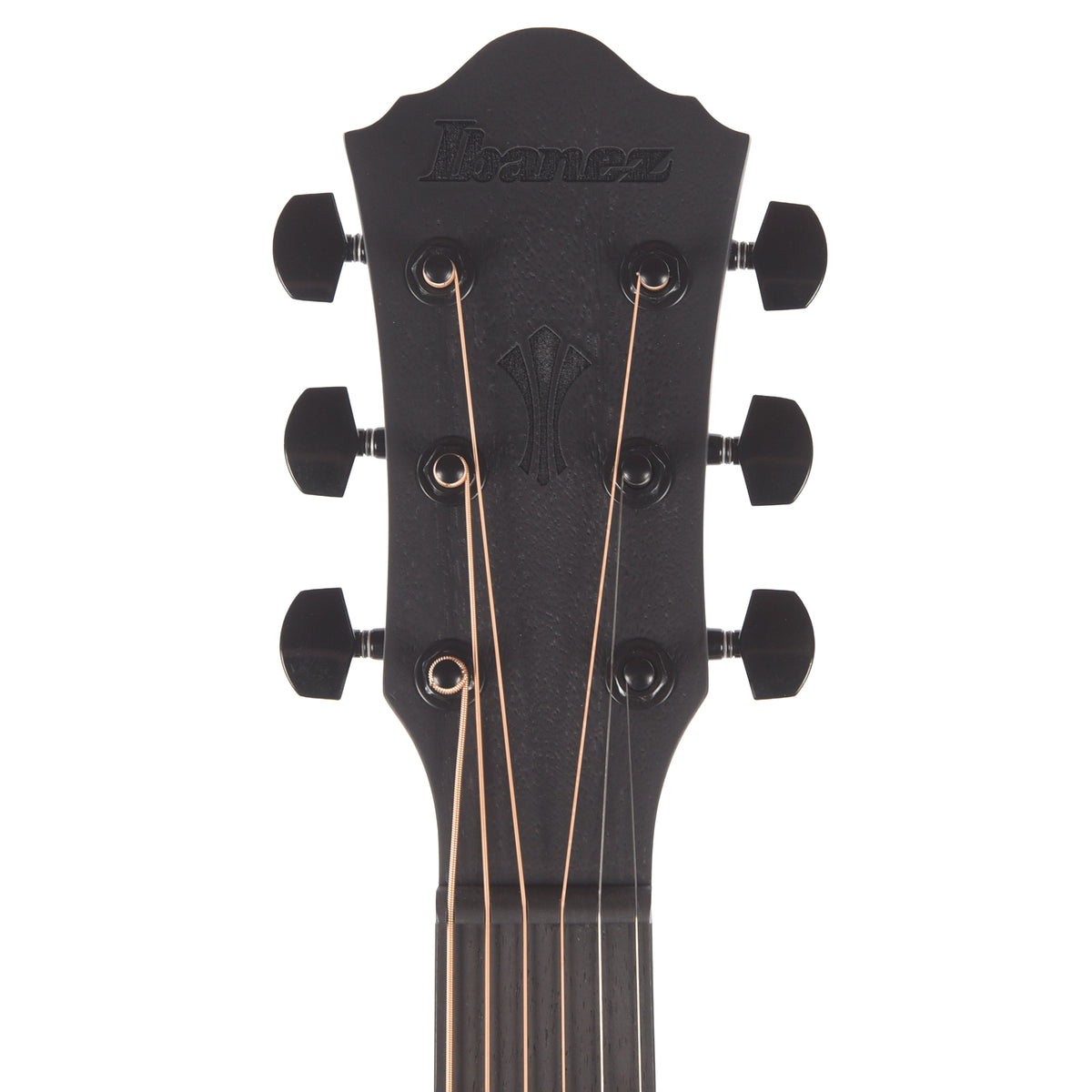 Ibanez AEG621BOT AEG Acoustic-Electric Guitar Black Out Acoustic Guitars