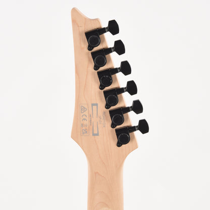 Ibanez RG421DXTWS RG Standard Electric Guitar Twilight Shade Electric Guitars / Solid Body