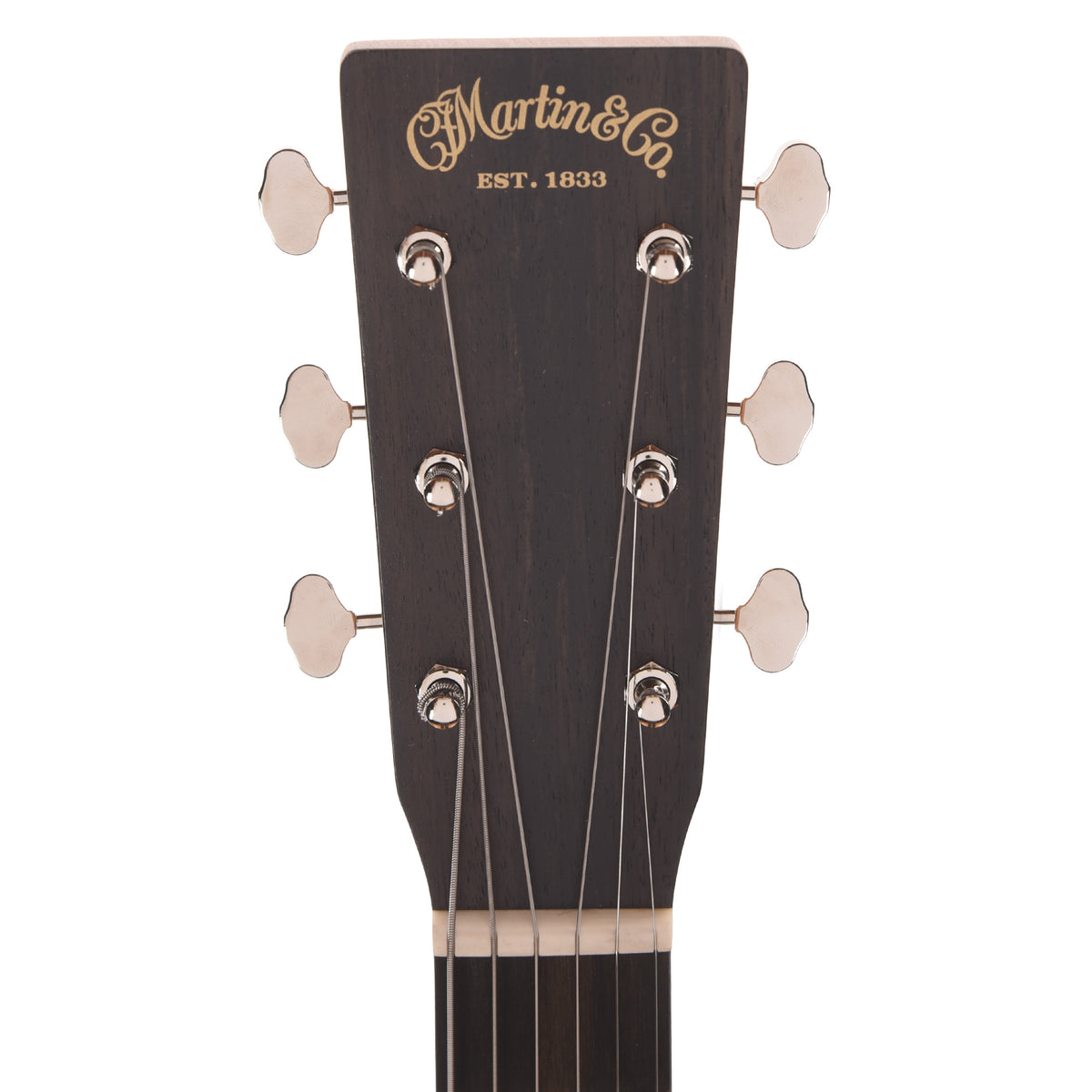 Martin Certified Wood 00L Biosphere IV w/Custom Artwork by Robert Goetzl Acoustic Guitars
