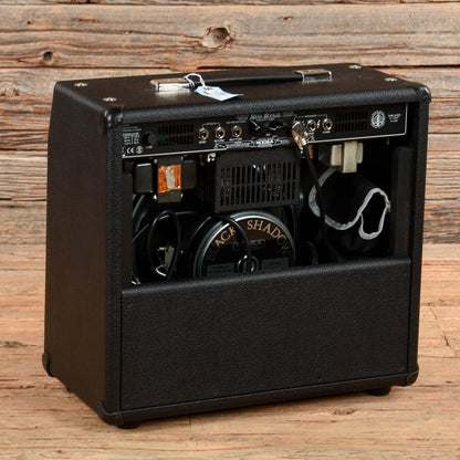 Mesa Boogie Fillmore 25 2-Channel 23-Watt 1x12" Guitar Combo Amps / Guitar Amps / Guitar Cabinets