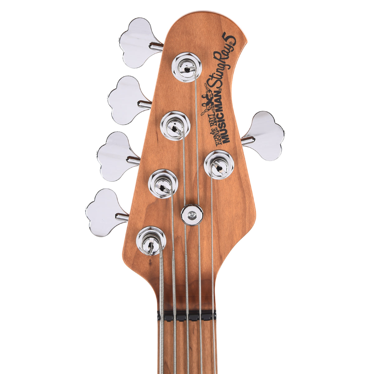 Music Man StingRay Special 5 HH Translucent Oxblood w/ Roasted Maple Neck Bass Guitars / 4-String