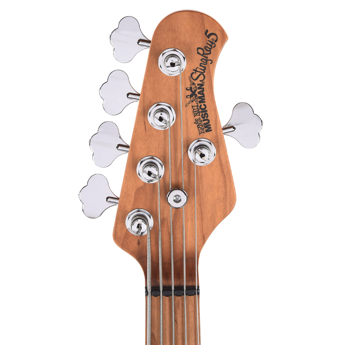 Music Man StingRay Special 5 HH Translucent Oxblood w/ Roasted Maple Neck Bass Guitars