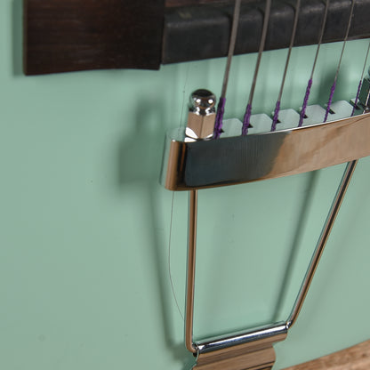 Orangewood Juniper Surf Green Live Rubber Bridge Parlor Acoustic Guitar Acoustic Guitars / Parlor