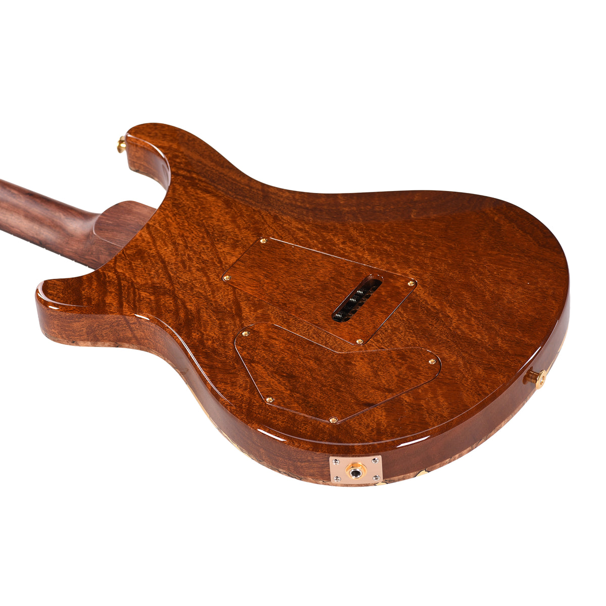 PRS Private Stock #12231 DGT Spalted Maple/African Mahogany Natural w/Gold Leaf Paint & Hormigo Neck Electric Guitars / Solid Body