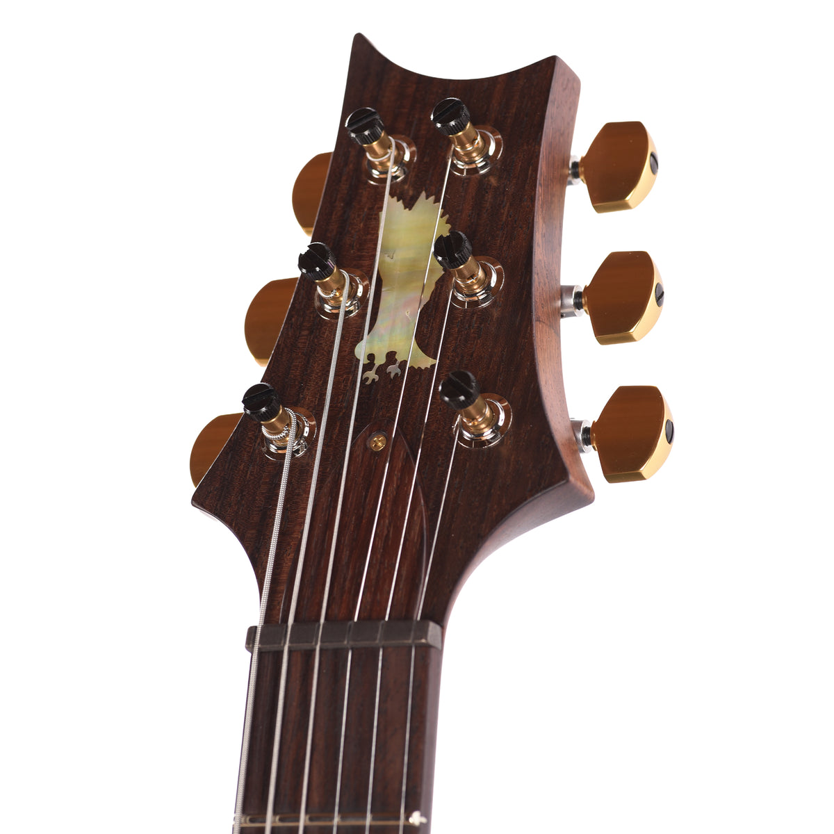 PRS Private Stock #12231 DGT Spalted Maple/African Mahogany Natural w/Gold Leaf Paint & Hormigo Neck Electric Guitars / Solid Body