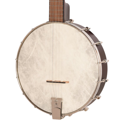 Recording King Dirty 30's Open Back Banjo Folk Instruments / Banjos
