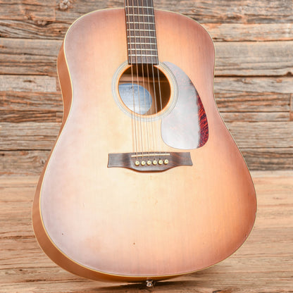 Seagull Entourage Rustic Sunburst Acoustic Guitars / Dreadnought