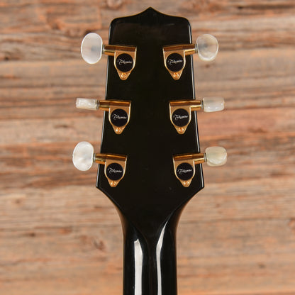 Takamine Custom Acoustic Guitar Green Green