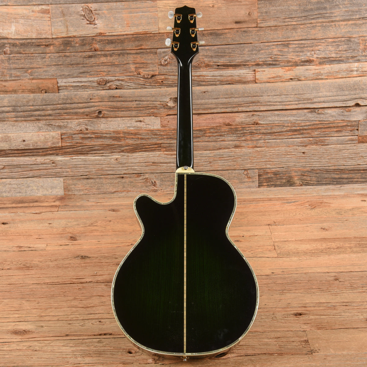 Takamine Custom Acoustic Guitar Green Green
