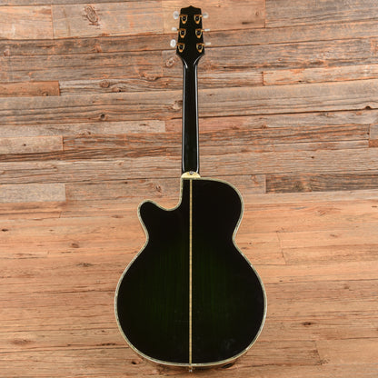 Takamine Custom Acoustic Guitar Green Green