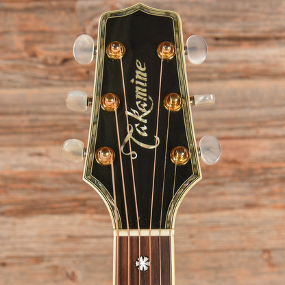 Takamine Custom Acoustic Guitar Green Green