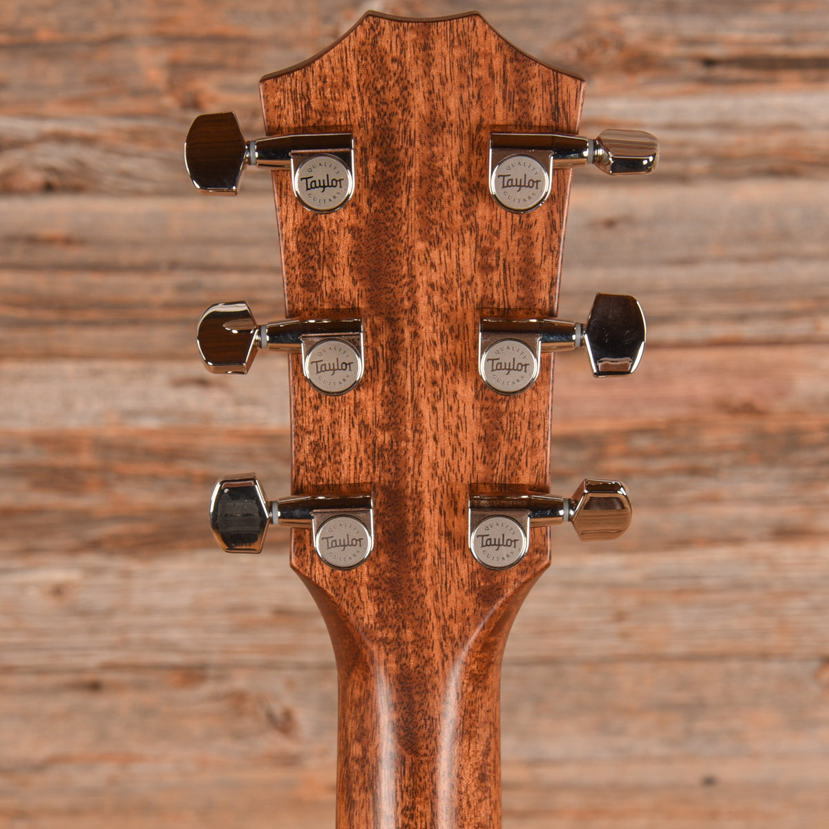 Taylor 317e Natural 2022 Acoustic Guitars / Dreadnought