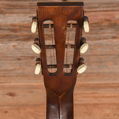Washburn R319SWKK Walnut - Zac Brown