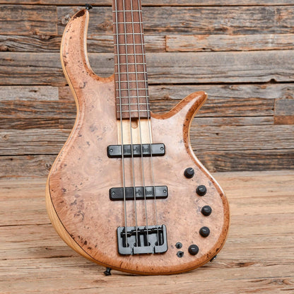 Elrick E-Volution Gold Series Maple Burl 2005 Bass Guitars / 4-String