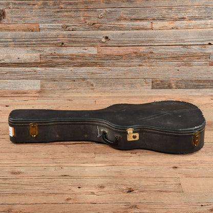 Epiphone FT-110 Frontier Natural 1965 Acoustic Guitars / Dreadnought