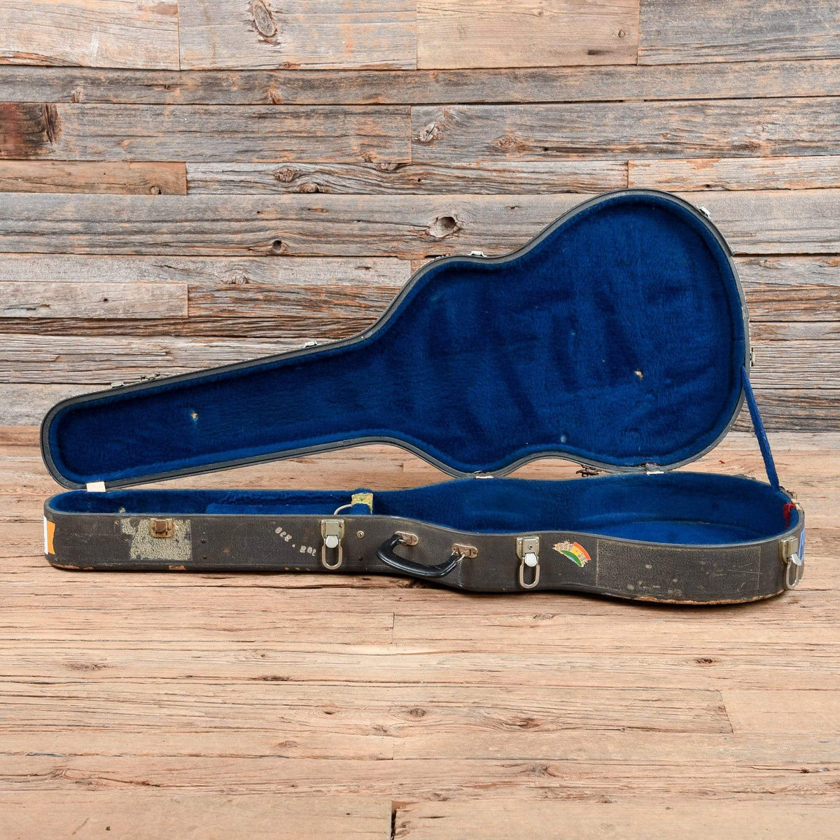 Fender Coronado Wildwood II 1960s Electric Guitars / Hollow Body