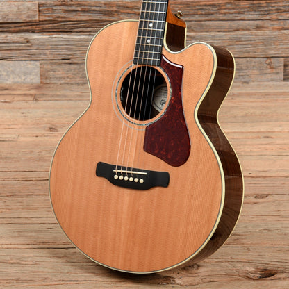 Gibson Parlor Rosewood M Avant Garde Rosewood Burst 2018 Acoustic Guitars / Parlor