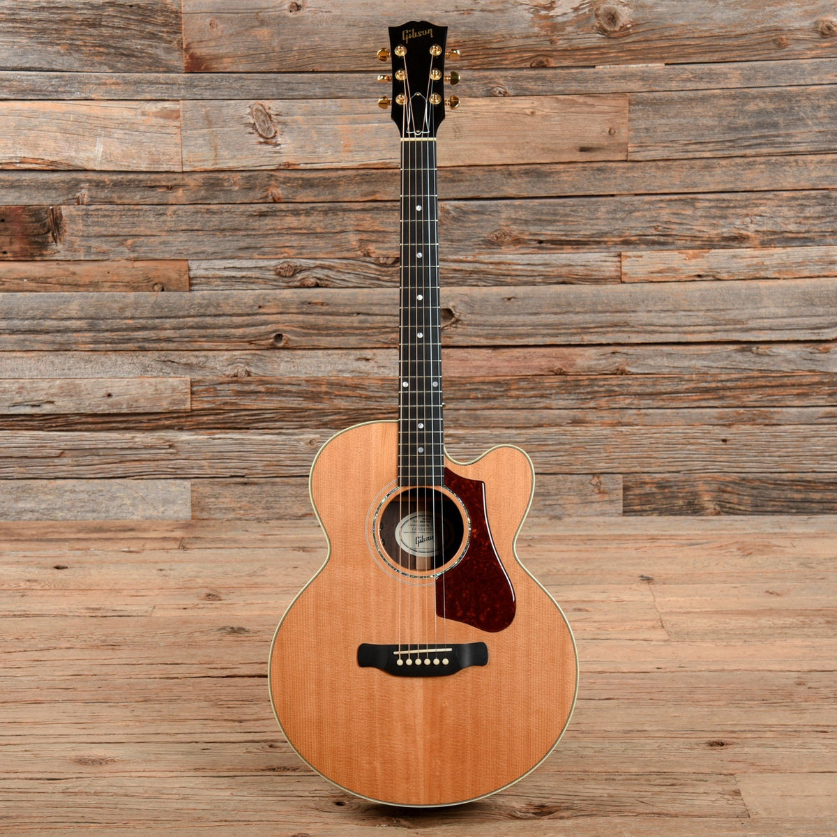 Gibson Parlor Rosewood M Avant Garde Rosewood Burst 2018 Acoustic Guitars / Parlor
