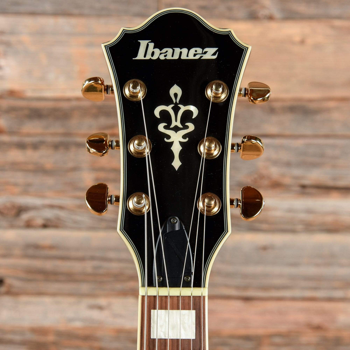 Ibanez AFJ95 Electric Guitars / Hollow Body