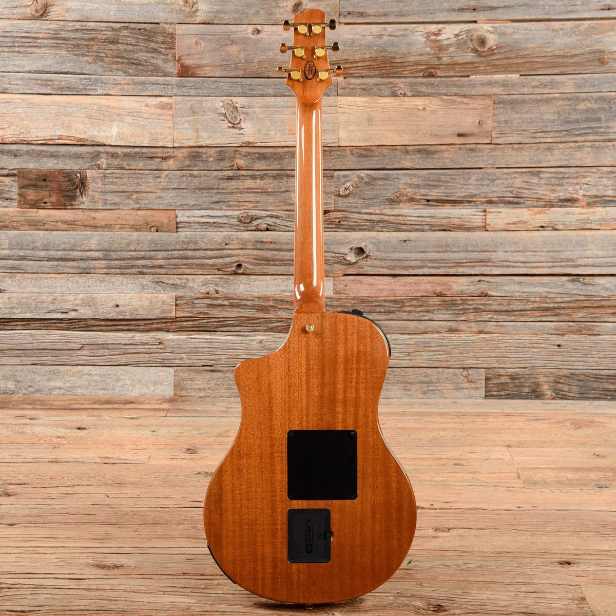 Line 6 Proto 900 Natural 2008 Electric Guitars / Semi-Hollow