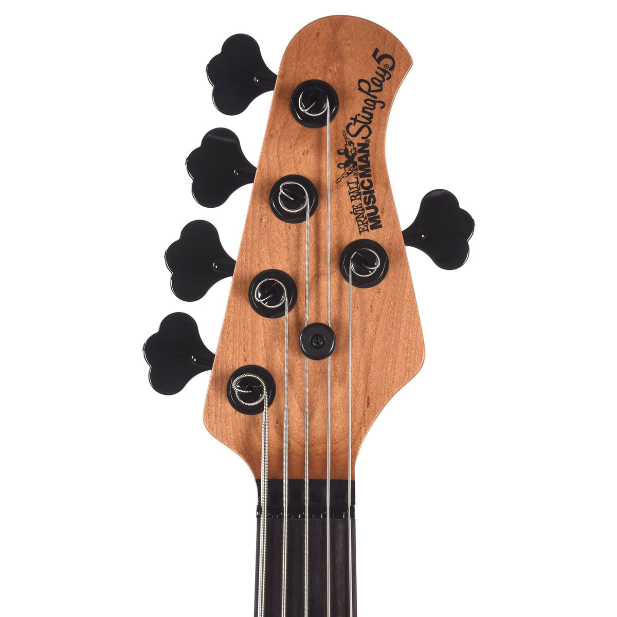 Music Man StingRay 5 Special H Jet Black Ebony Fingerboard w/Black Pickguard Bass Guitars / 5-String or More
