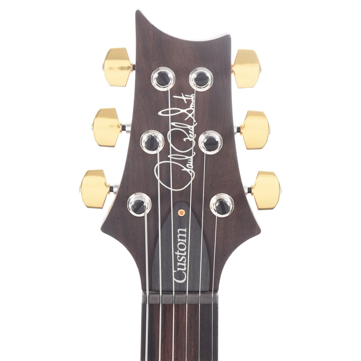 PRS Wood Library Custom 24 Semi-Hollow 10 Top Flame Evergreen w/Torrefied Maple Neck & Brazilian Rosewood Fingerboard Electric Guitars / Semi-Hollow