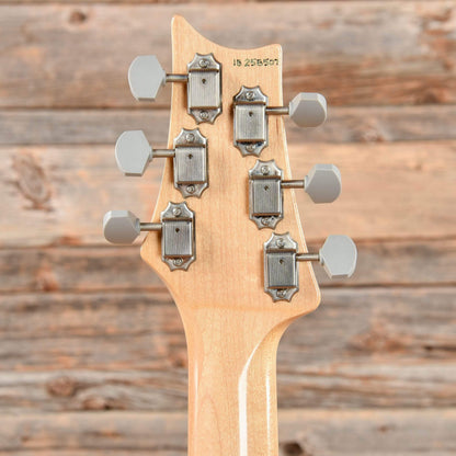 PRS Silver Sky John Mayer Model Tungsten 2018 Electric Guitars / Solid Body
