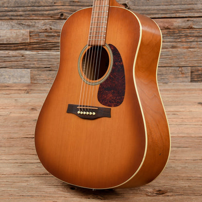 Seagull Entourage Rustic Sunburst Acoustic Guitars / Dreadnought