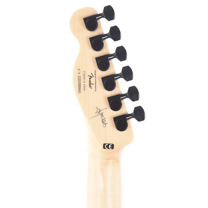 Squier Artist Jim Root Telecaster Flat Black Electric Guitars / Solid Body