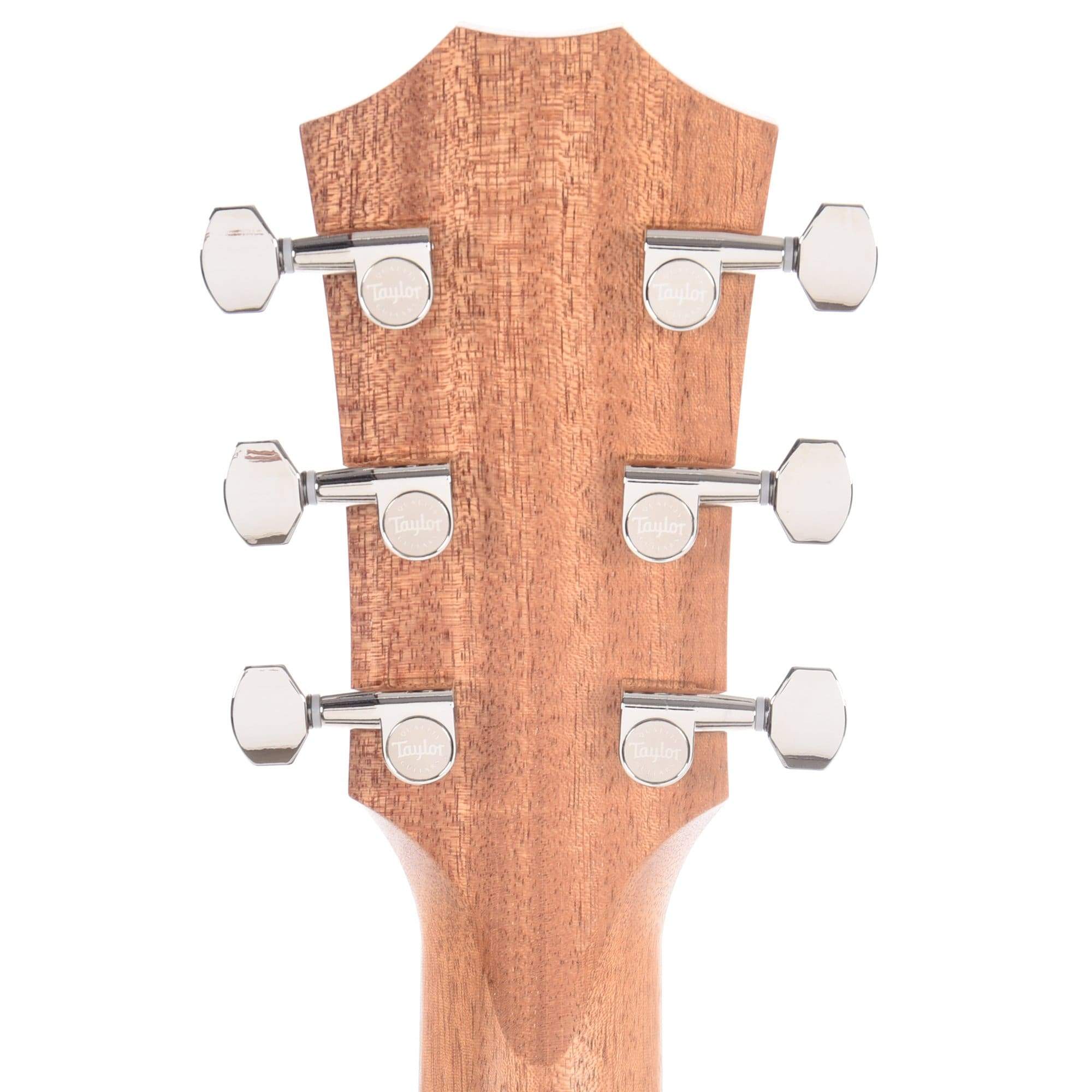Taylor GT Sitka/Urban Ash w/AeroCase Acoustic Guitars / OM and Auditorium